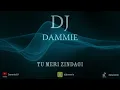 Download Lagu Tu Meri Zindagi | Shazia Manzoor | DJ Dammie | 2025 Punjabi Remix | Eid Drop 7