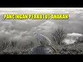 Download Lagu PANCINGAN SUARA PERKUTUT ANAKAN