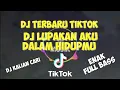 Download Lagu DJ TERBARU TIKTOK - DJ LUPAKAN AKU DALAM HIDUPMU