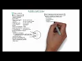 Florida Bar Exam Overview for Recent Law Graduates or those taking the bar exam in Florida
