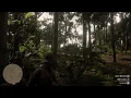 Red Dead Redemption 2 - PANTHER Perfect Pelt Studied and Tracked Old Harry Fen Lemoyne