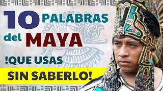 10 palabras de origen maya que usas a diario en espa ol 