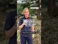 Pamela Brown reports from Camp Mystic where she went as a child