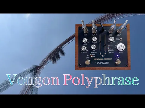 Vongon Polyphrase Stereo Echo | Delicious Audio