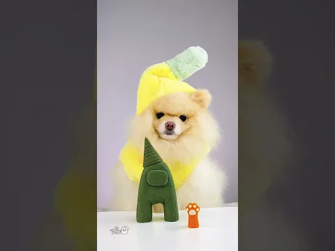 No one will guess what's inside Among Us!❓#iqpaw #amongus #viralshorts #cute