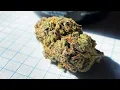 Medical Marijuana Review Blueberry Muffin Maitri Medicinals
