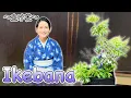 Download Lagu IKEBANA, Japanese style flower arrangement 〜生け花〜 Japan Vlog | easy Japanese home cooking recipe