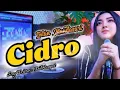 Download Lagu CIDRO - INTAN MANDASARI CIPTAAN DIDI KEMPOT/ LAGU DANGDUT KOPLO JAWA