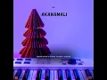 Download Lagu Akanamali - Skeem Native \u0026 Roddix Xavier's Version