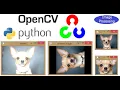13 image rotation translation image processing