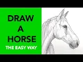 How to Draw a Horse Simple Beginner-Friendly