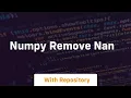 numpy remove nan
