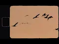 Sydney Rose - We Hug Now (Lyric Video)