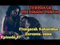 Download Lagu Bab 47. Mengecek kehamilan Bersama -sama