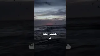 حبيبتى ملاك عمرو دياب Amr Diab AmrDiab Trending Explore اكسبلور 