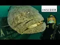 Download Lagu Meet the Goliath Grouper Fish