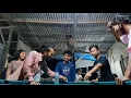 Download Lagu Duduk sama rata berdiri tanpa raja (KESEMELEKE88 grub)