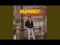 Download Lagu Wespennest