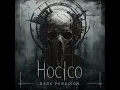 Dark Paradigm