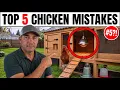 Top 5 Backyard Chicken Mistakes To Avoid May Surprise You