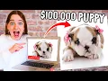 BUY ANYTHING ONLINE SHOPPING CHALLENGE Nuts