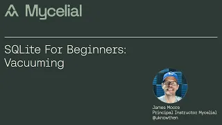 SQLite for beginners Vacuuming