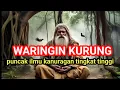 Download Lagu ILMU WARINGIN KURUNG BELUM PUNAH !! WASPADA JANGAN SAMPAI SALAH BICARA KE PENGGUNANYA