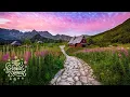 Download Lagu ♫ Best Progressive House Mix 2025 Vol. #4 ♫