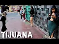 Border Streets in Tijuana Zona Norte FULL TOUR