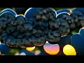 Endel & Dmitry Evgrafov - Peace Contraption | Cloud Structure