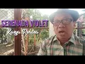 Download Lagu 🇲🇨INDONESIAN POEM: SERENADA VIOLET (VIOLET SERENADE) BY W.S. RENDRA, READ BY WADJI MISMAN