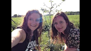 TreePlantChallenge Isontwerp SweetSecreets Ilse Vera  TreePlantChallenge Isontwerp SweetSecreets Ilse Vera