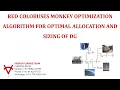 RED COLOBUSES MONKEY OPTIMIZATION ALGORITHM FOR OPTIMAL ALLOCATION AND SIZING OF DG