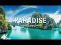 Download Lagu FLYING OVER PARADISE (4K UHD) - Relaxing Music Along With Beautiful Nature Videos(4K Video Ultra HD)