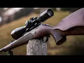TOP 10 Best 22LR Rifles The Most Accurate 22 Rifles 2023