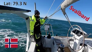 Best Arctic Sailing | Attacked by Arctic terns! | Bushpoint Sailing | Ep 47