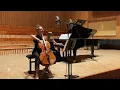 F. Chopin - Introduction and Polonaise Brillante in C major op. 3