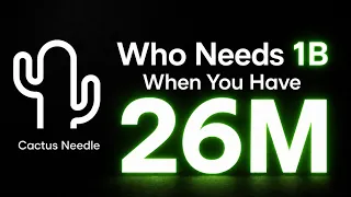 cactus needle the 26m function calling model