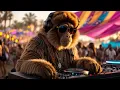DJ GO RILLA – 🎧 JOURNEY №47 | Afro House Set | COACHELLA, CALIFORNIA