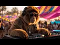 Download Lagu DJ GO RILLA – 🎧 JOURNEY №47 | Afro House Set | COACHELLA, CALIFORNIA