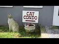 LaMancha Animal Rescue