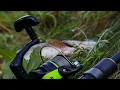 Download Lagu Golden rule: Found a fish trail, change baits, spin and you'll catch it. Spinning on the Uzh River