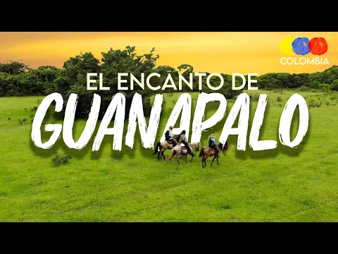 Llanos Safari in Casanare | Hato El Encanto de Guanapalo