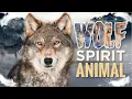 Download Lagu Wolf Spirit Animal – What it Means to Have the Wolf as Your Spirit Animal?