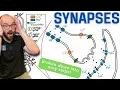 Synapses Broken down into simple steps
