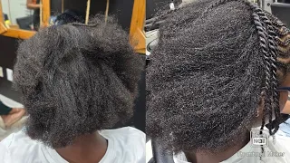 Two-Strand Twists on Natural Hair | Watch the Transformation!
