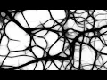 Download Lagu SABOTAGE - PSYCHODYNAMICS