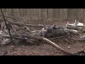 Two killed in Coshocton County plane crash