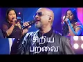 Lagu SIRIYA PARAVAI | ANDHA ORU NIMIDAM | AGNEE M SIVAKUMAR | NILUKSHi | AGNEE BAND | #tamilshow | #spb