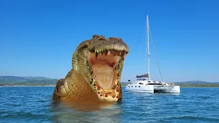 Up Close & Personal with the CROCS of San Blas! – Onboard Lifestyle ep 191